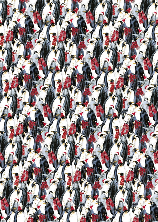 Wrapping Paper Polar Penguin 3m X 70cm
