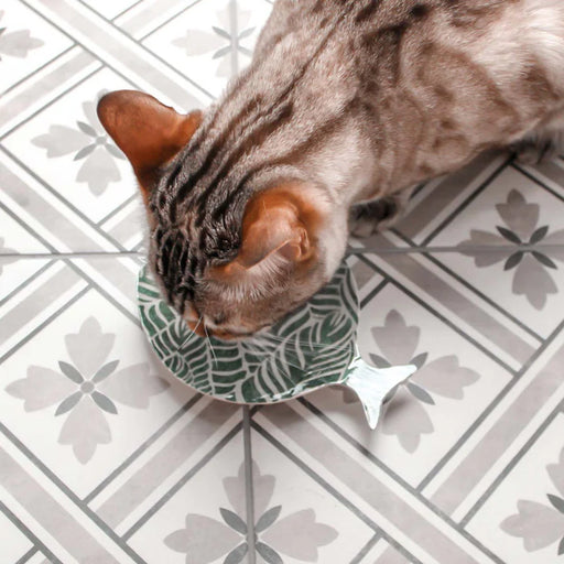 Tarhong Safari Cat Dish