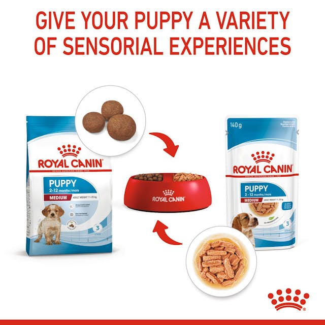 Royal Canin Medium Puppy 12kg