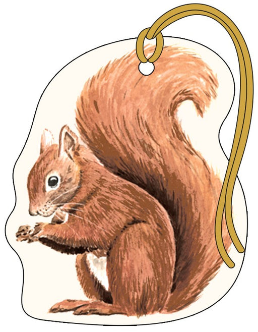 Squirrel Gift Tag Pack-4