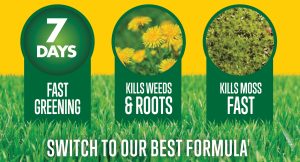 Aftercut Lawn Feed Weed & Moss 350sq
