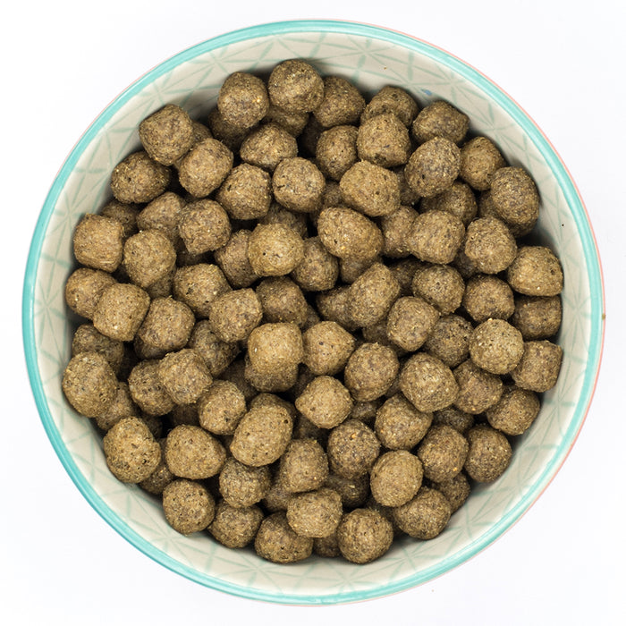 Burns Alert Assistance Lamb & Rice Dog Food