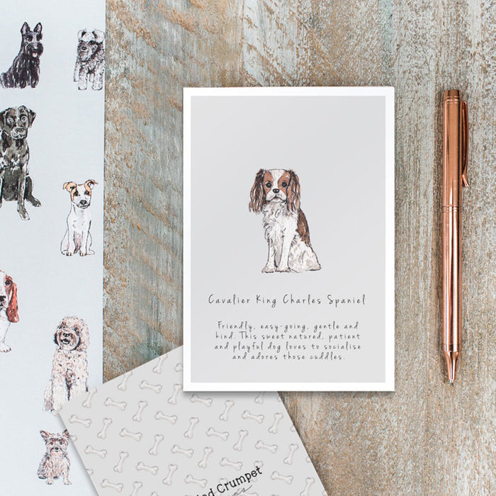 Toasted Crumpet Designs Cavalier King Charles Spaniel Card