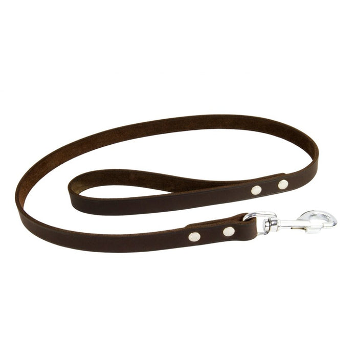 Earthbound Soft Leather Dog Lead Brown