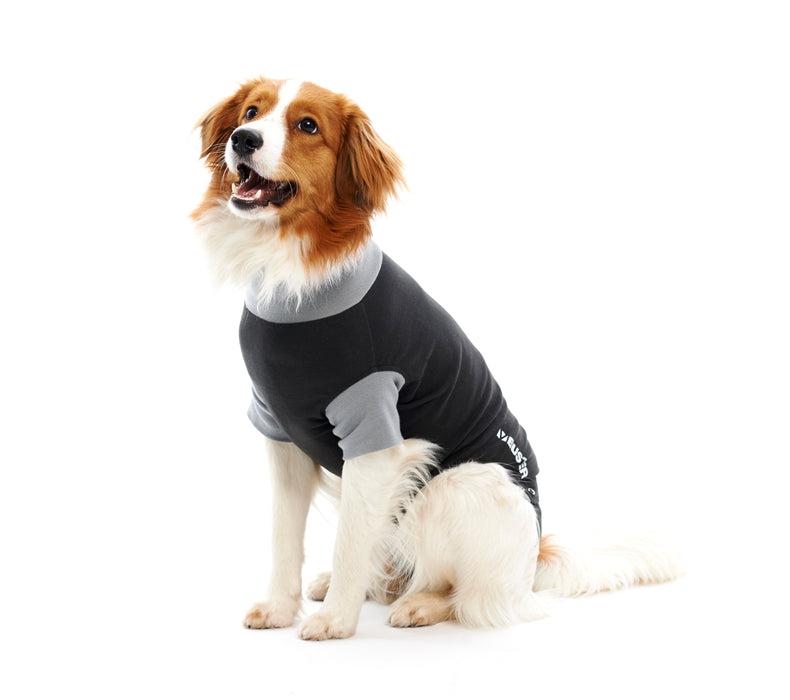 Buster Body Suit For Dogs