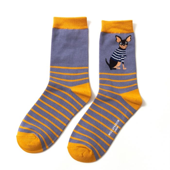 Chihuahua Stripes Blue Socks