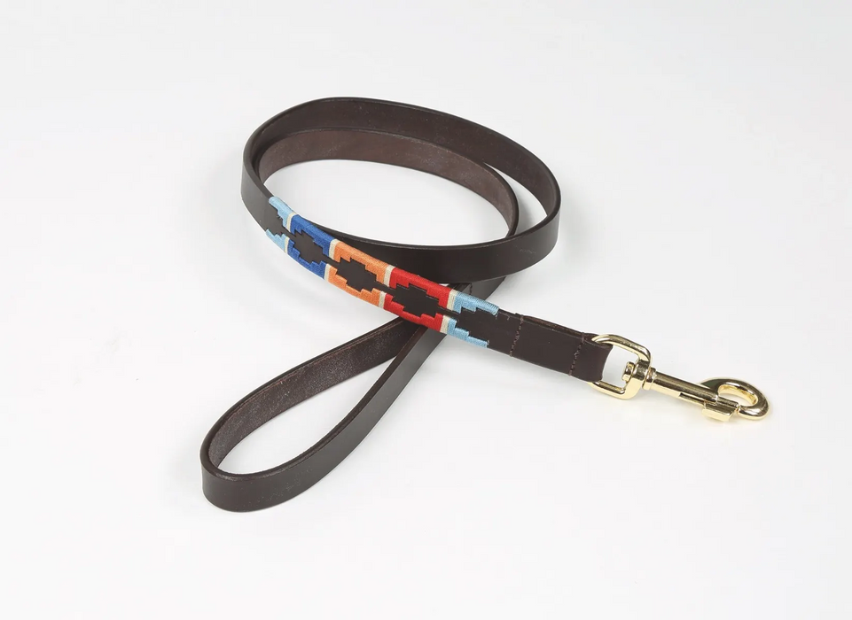 Digby & Fox Polo Dog Lead Turquoise & Red