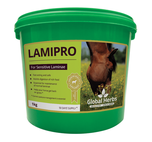 Global Herbs Lamipro Powder