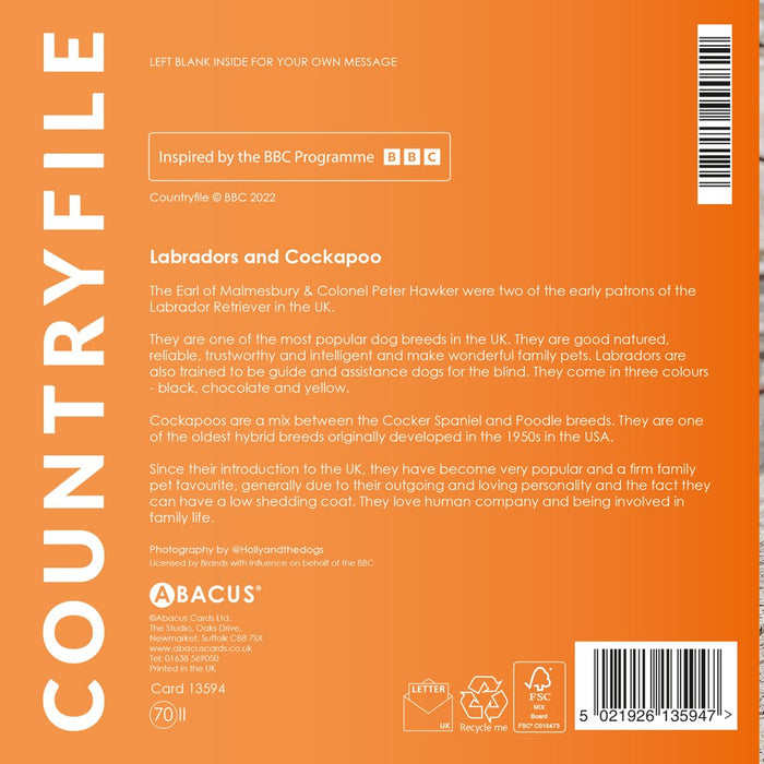 Labradors And Cockapoo Card