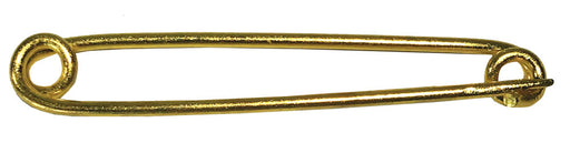Small Gold Stock Pin