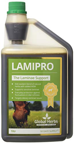 Global Herbs Laminitis Prone Liquid