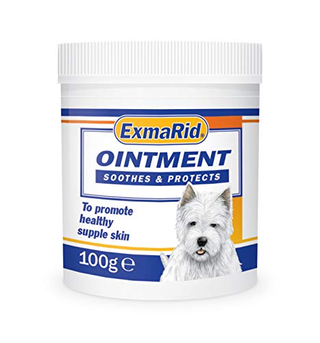 S/S Exmarid Ointment 100g