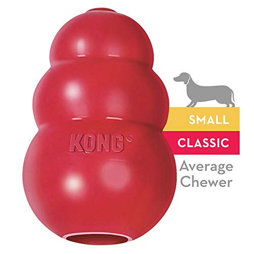 Kong Red Classic Small