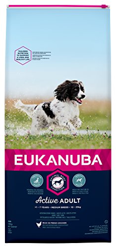Eukanuba Medium Breed Active Adult