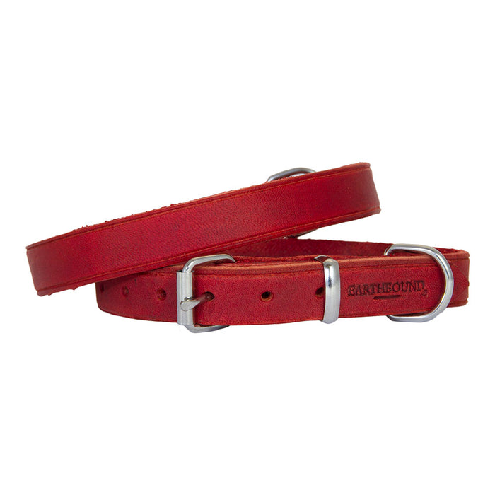 Earthbound Soft Dog Leather Collar Red