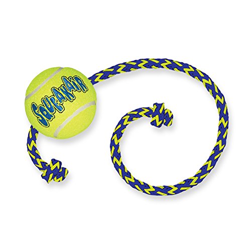 Kong Tennis Ball On Rope