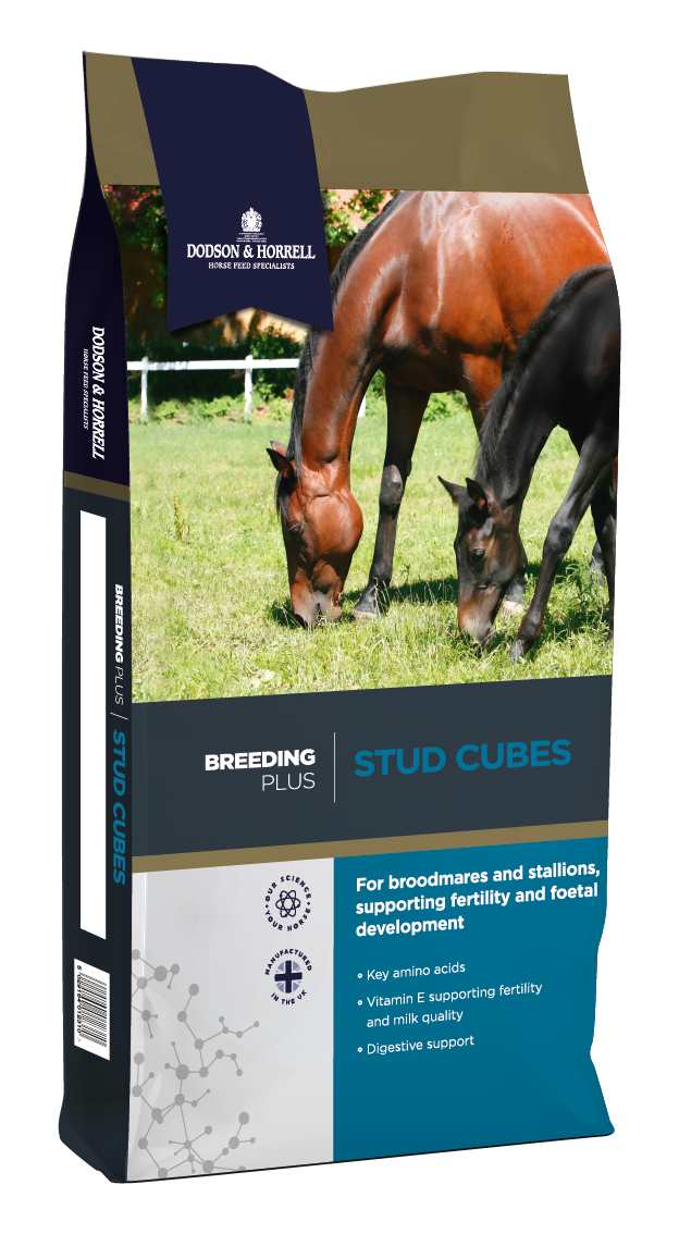 Aliment Dodson & Horrell Sixteen Plus - Soin Complet Pour Chevaux âgés