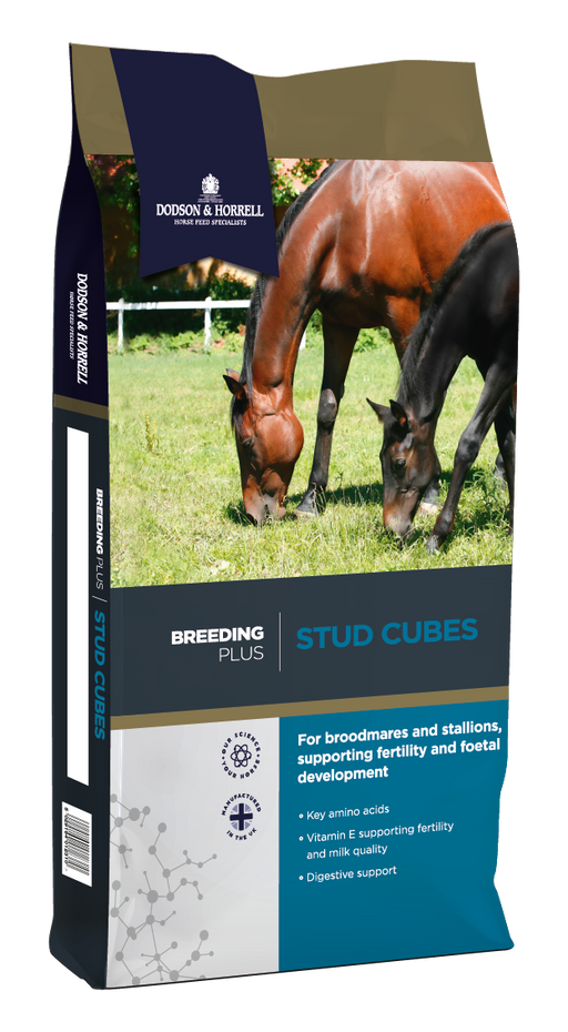 Dodson & Horrell Stud Cubes 20kg