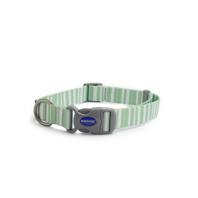 Ancol Soho Stripe Collar