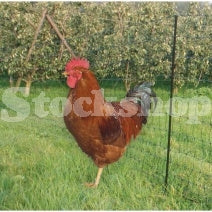 Electric Poultry Netting 50M Green