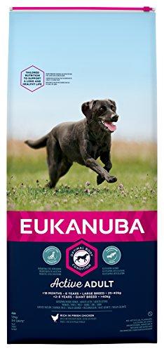 Eukanuba Large Breed Active Adult