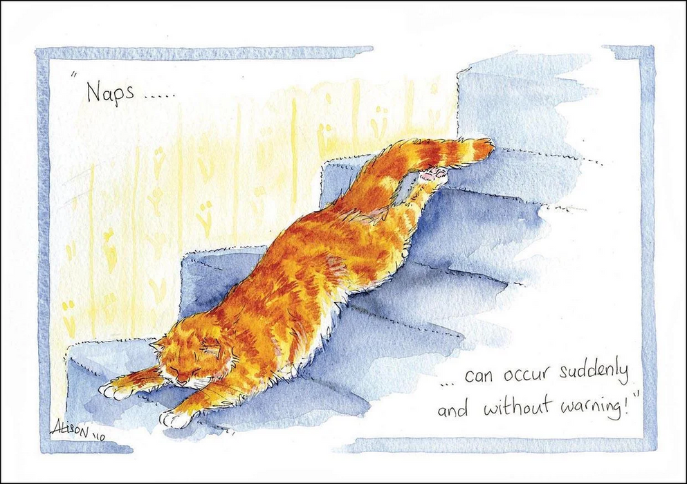 Naps Can Occur Card