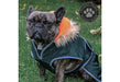 Ancol Green Parka Dog Coat