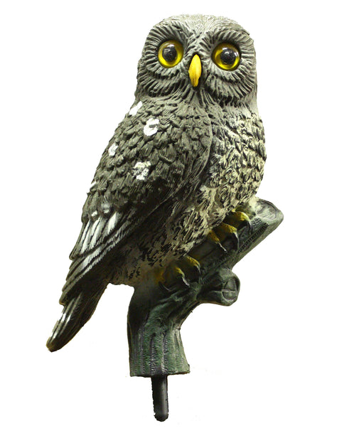 Little Owl Fixed Wing Decoy