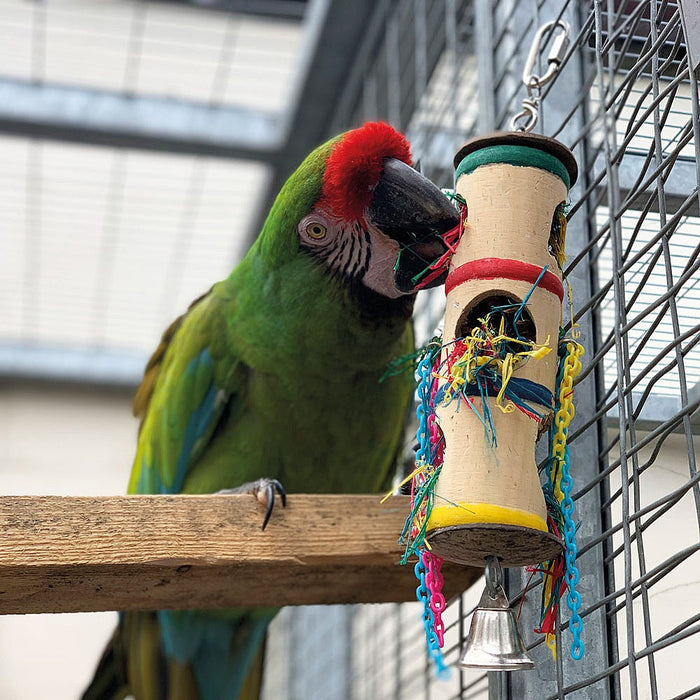 Foraging Barrel Parrot Toy