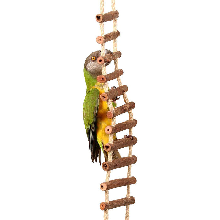 Natural Log Ladder Bridge Parrot Toy