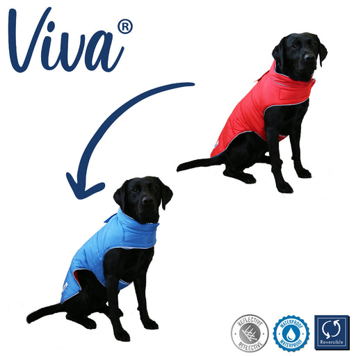 Viva Reversible Coat Red & Blue