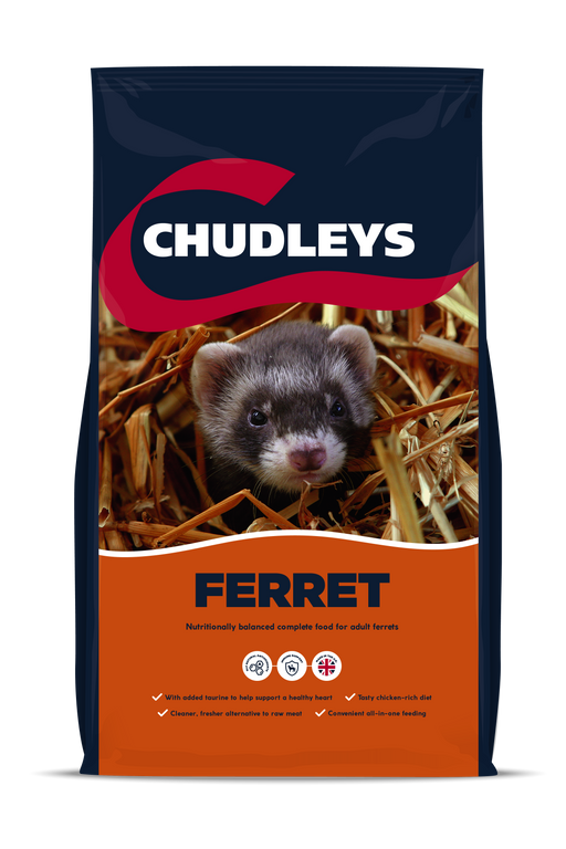 Chudleys Ferret