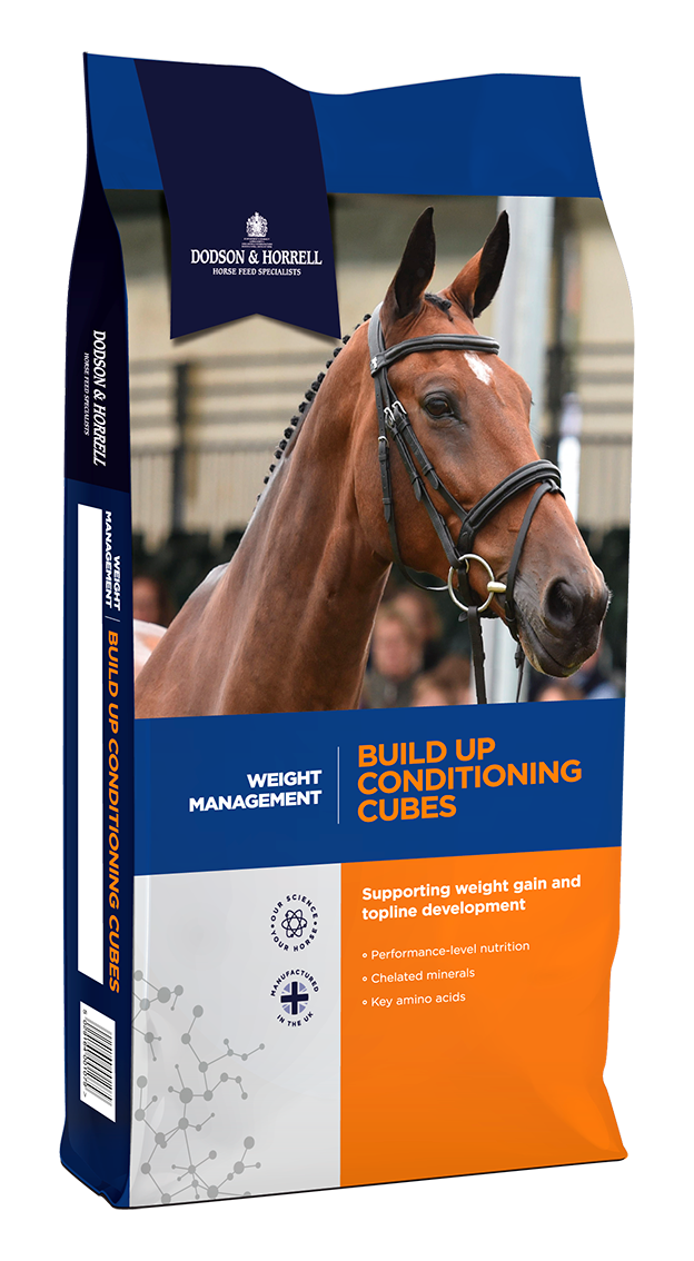 Dodson & Horrell Build Up Cubes 20kg — Welland Valley Feeds Ltd