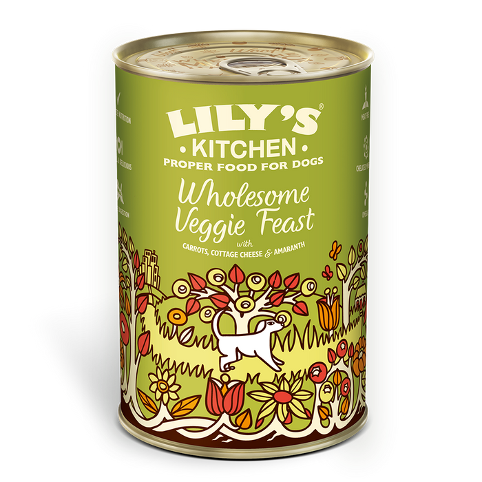 Lily's Kitchen Veggie Feast 375g Tin