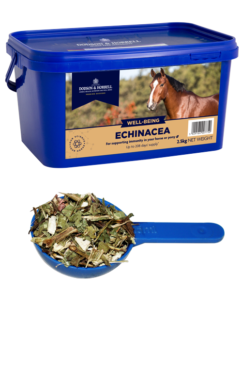 Dodson and sales horrell dog food