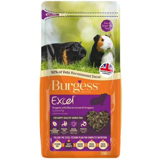 Excel Guinea Pig Blackcurrant 2kg