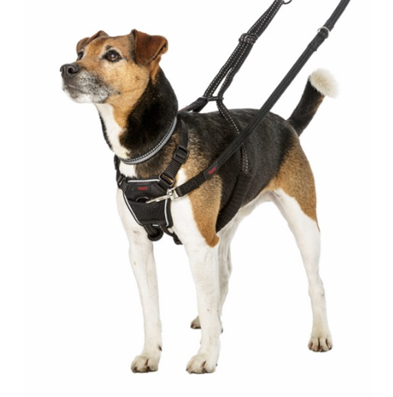 Halti Non-Pull Dog Harness Black