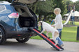 Pet Car Ramp Folding