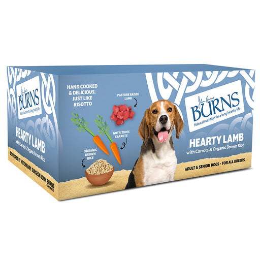 Burns Adult Dog Lamb & Rice Sachets 12x150g