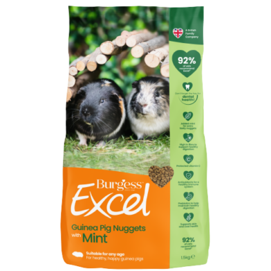 Supa Guinea Pig Excel With Mint