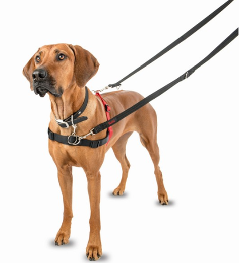 Halti Front Control Dog Harness Black/Red