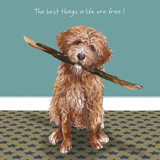 The Little Dog Laughed Best Things Card
