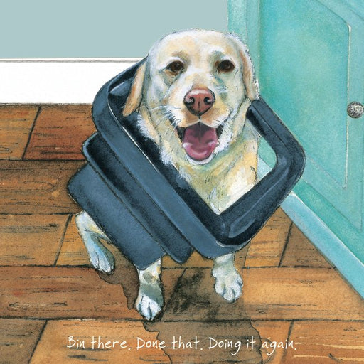 The Little Dog Laughed Bin There Card