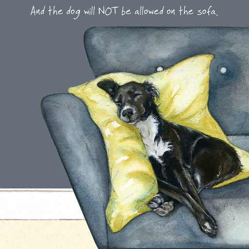 The Little Dog Laughed Not Sofa Card