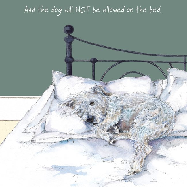 The Little Dog Laughed Not Bed Card
