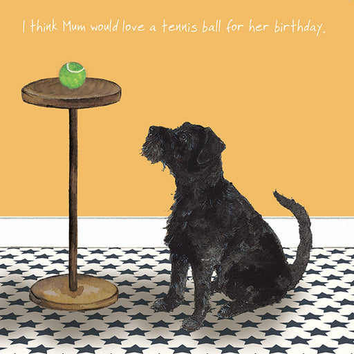 The Little Dog Laughed Bday Ball Card