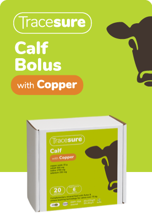 Animax Tracesure Calf Bolus With Copper