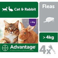 Advantage 80mg for Large Rabbits & Cats Over 4kg Pack of 4 PML