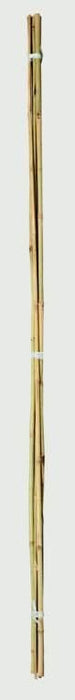 Bamboo Canes 6ft Pack-10
