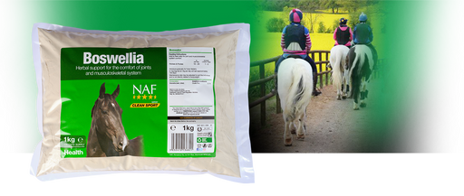 NAF Boswellia Powder